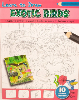 Learn to Draw Exotic Birds (Learn to Draw Activity Book)